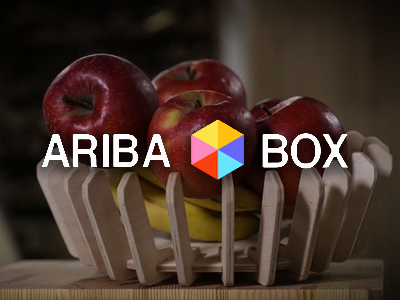 Aribabox website preview